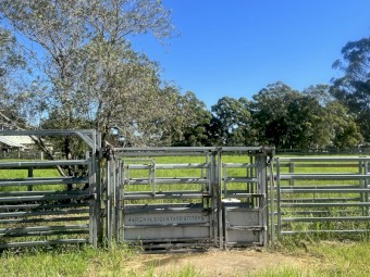 National stockyards cattle yards