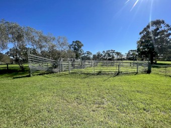 National stockyards cattle yards