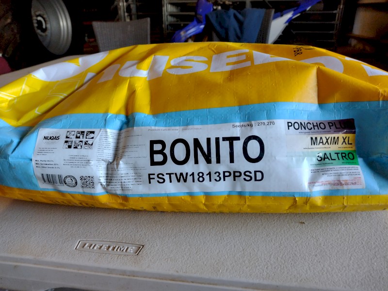 Bonito Canola Seed