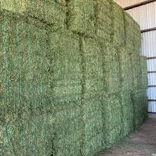 300 m/t Wheaten Hay 8x4x3 Bales, Timothy and Alfafa hay