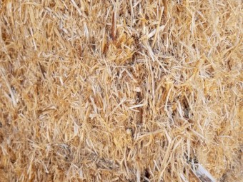 Good quality legume Header windrows.