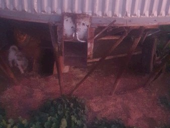 Nelson Transportable Field Bin