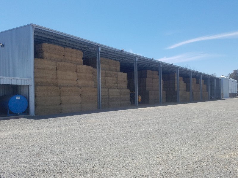 Wheaten Hay - Shedded  (8x4x3 HD)