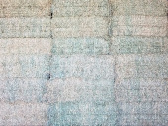 Wheaten Hay - Shedded  (8x4x3 HD)