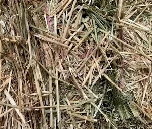 WANTED Unsprayed Oaten Hay