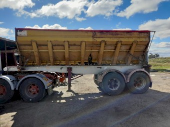 6m/20ft Cole Grouper