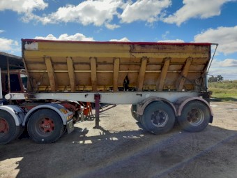 6m/20ft Cole Grouper