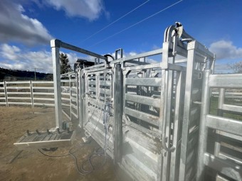 Air operated Clipex cattle crush