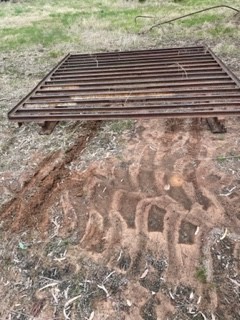 Cattle Grid