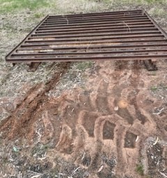 Cattle Grid
