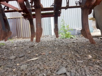 Massey 55 20 Run Combine