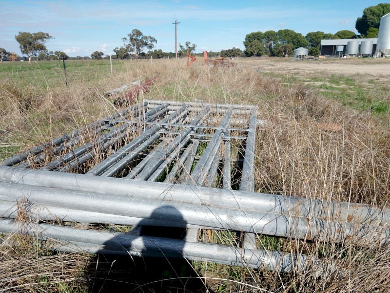 Proway Bull Auction Ring