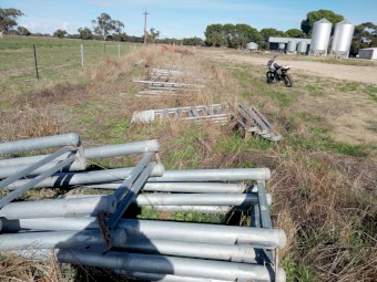 Proway Bull Auction Ring