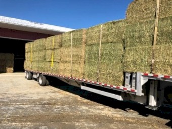 Wheaten hay and Oaten Hay 8x4x3 Bales.