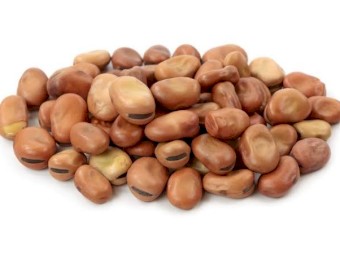 Wanting Faba beans for exportation 