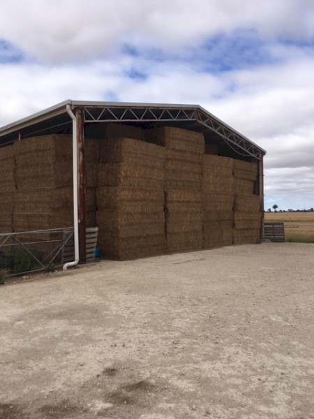 100mt Vetch Hay 8x4x3 Bales (21/22)