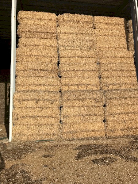 100mt Barley Straw 600kg 8x4x3 Bales