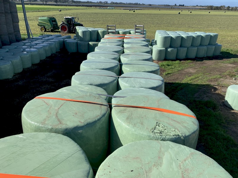Lucerne Silage 4x4 Bales