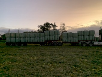 Lucerne Silage 4x4 Bales