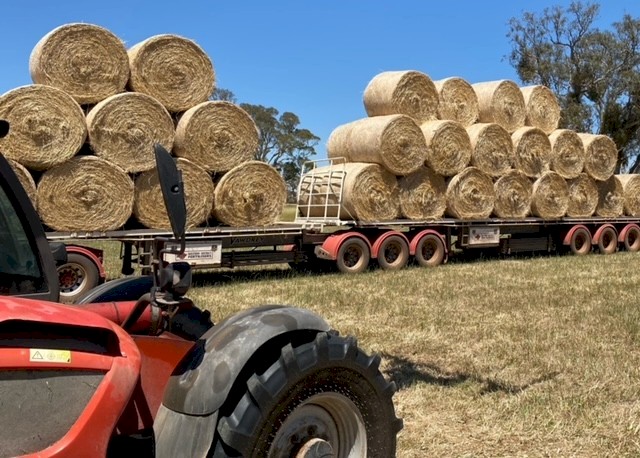 Rye & Clover Hay 390kg 5x4 Rolls