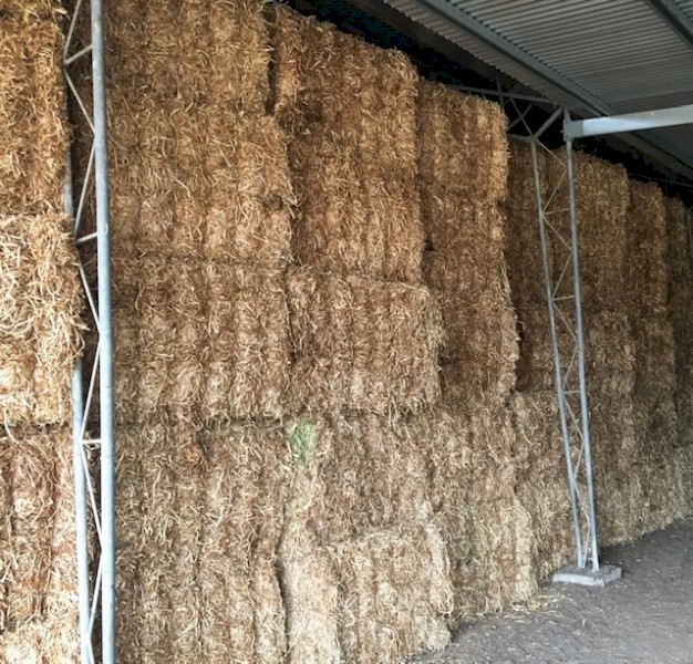 Current Season Clover Hay - Big Squares