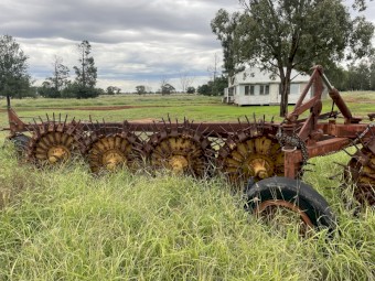 Pin wheel heavy stick rake 