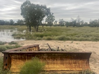 Heavy steel bore drain delver 