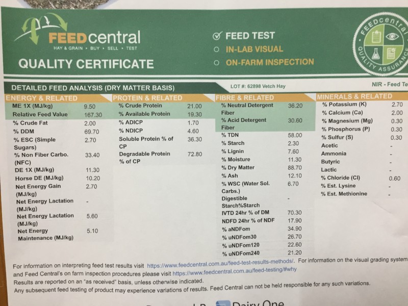 100mt Vetch Hay 550kg 8x4x3 Bales (Shedded)