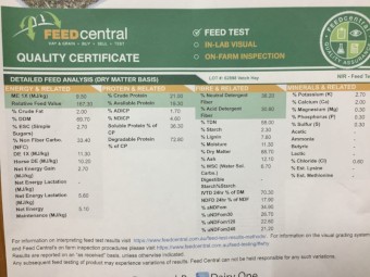 100mt Vetch Hay 550kg 8x4x3 Bales (Shedded)