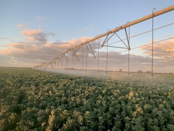 NEW IN STOCK NOW Otech Galvanised Full Circle 4 span 238m pivot