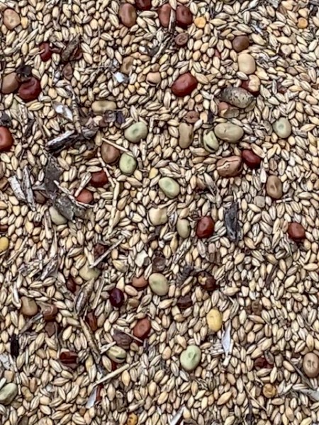 2021 Mixed Gradings Pig Feed