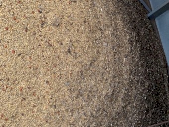 2021 Mixed Gradings Pig Feed