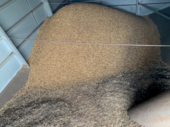 2021 Mixed Gradings Pig Feed