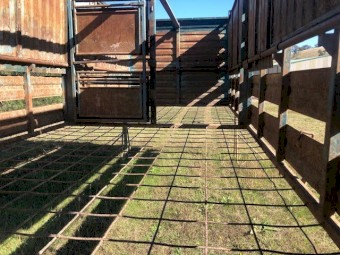 21ft Gowlands Stock Crate.