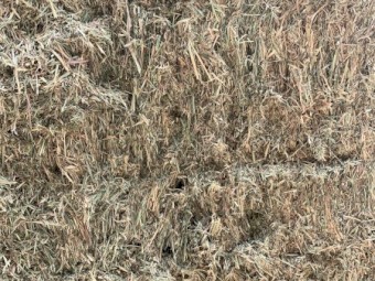 200mt Vetch Hay 8x4x3 Bales