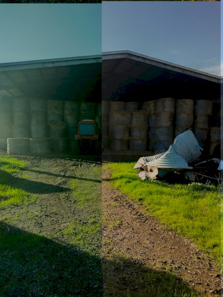 500 x Oaten Hay 5x4 Rolls