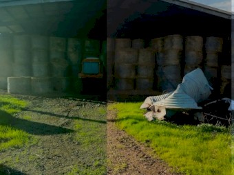 500 x Oaten Hay 5x4 Rolls