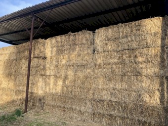 Oaten & Rye 8x4x3 Bales