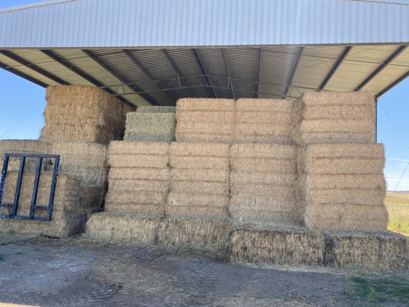 40mt Lucerne Hay 600kg 8x4x3 Bales