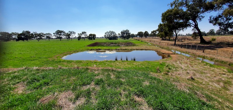 45 Acres Fully fenced pasture with water available from July 22 for agistment