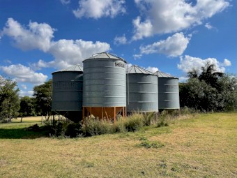 Websters 50 Ton Grain Silos