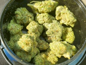 weeed,coke,shards and pillss for sale 