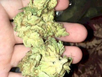 INDICA, SATIVA ANS HYBRID STRAINS