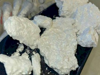 top quality weed, coke ,pills ,shards and shrooms .