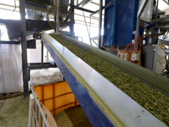 Well Established Feed Manufacturing Plant