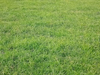 200 acres of farmland in Seymour 