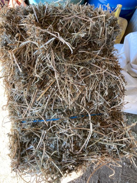 Lucerne small squares baled Nov 2021