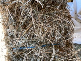 Lucerne small squares baled Nov 2021