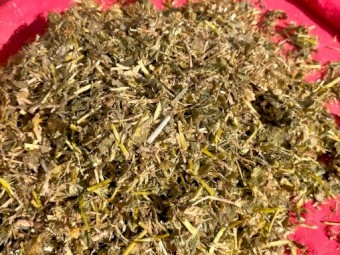 92 Rolls Lucerne Silage