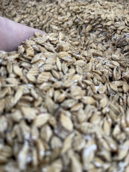24 tonnes of Steam rolled Barley in Bulker Bags 
